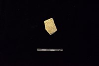 藏品(陶片)的圖片